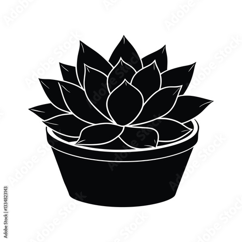 echeveria in tub silhouette art