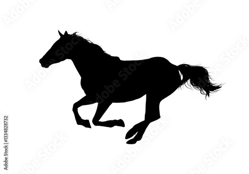 silhouette of a horse - vector illustration