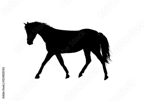 silhouette of a horse - vector illustration