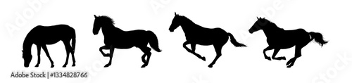 Set of horse silhouettes - vector illustration