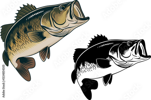 Big bass fish vector cartoon for t-shirt Big bass fish vector design set illustration A big fish silhouette vector.