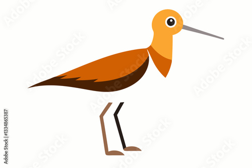 Dunlin Bird Creative Vector Design