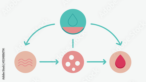 Pore Reduction Process A flowchart highlighting the steps exosomes take from application to their impact on skin health showing enhanced collagen production and pore tightening.