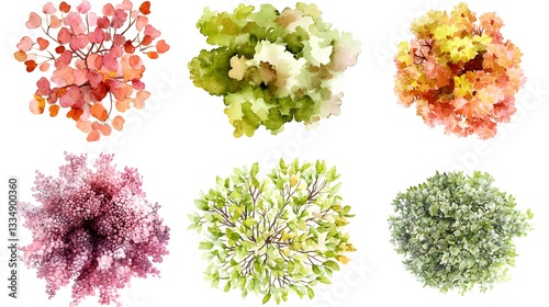 Watercolor depictions of various shrubbery and flowering plant designs