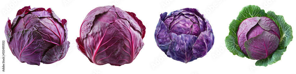 Obraz premium A collection of cabbages showcasing various shades of purple and green, highlighting their unique textures and shapes.