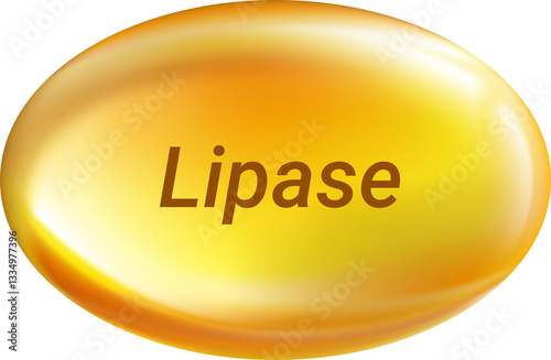 lipase