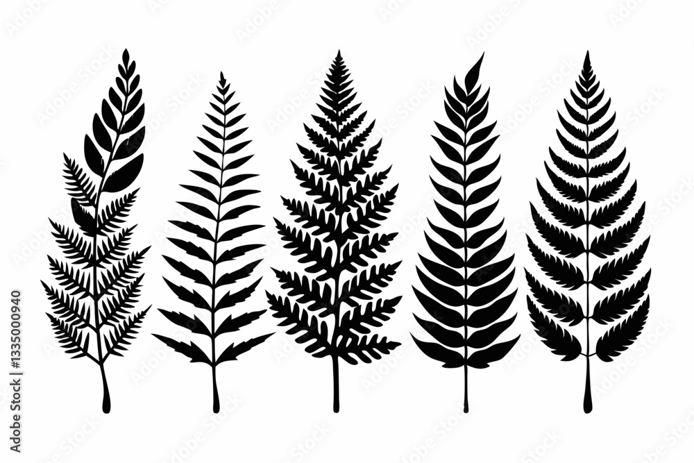 fern leaf icon set line art silhouette vector illustration fern leaf icon set line art silhouette vector illustration