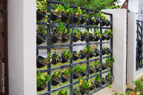 A wall with a black metal fence and a green plant wall
