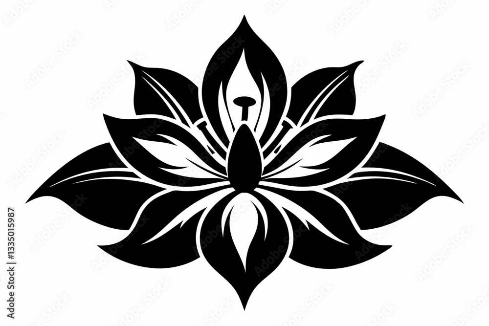 zephyrettes flower line art silhouette vector illustration zephyrettes flower line art silhouette vector illustration