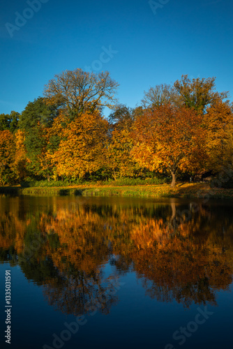 Trees with colorful Fall Foliage reflecting in a small Pond of Water, beautiful Autumn Day with perfect blue Sky; Copy Space