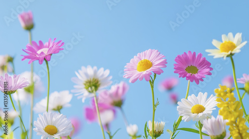 Bright and colorful flowers bloom against clear blue sky, creating cheerful scene