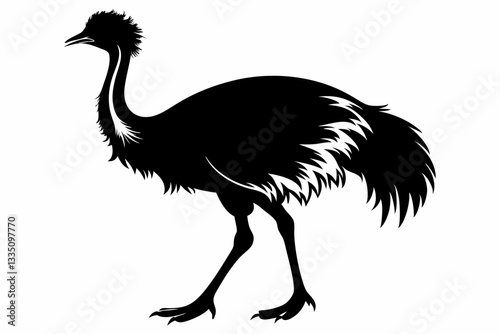 bird emu line art silhouette vector illustration