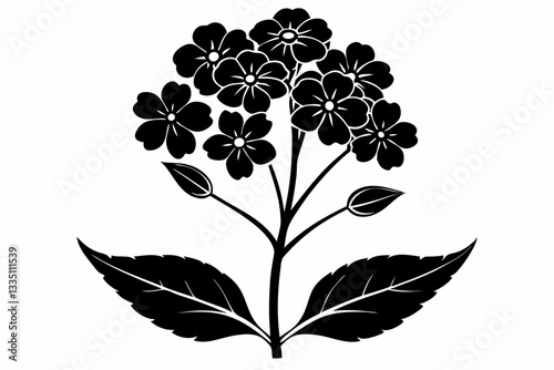 verbena flower line art silhouette vector illustration