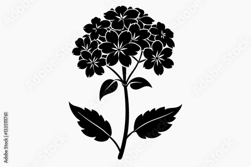 verbena flower line art silhouette vector illustration