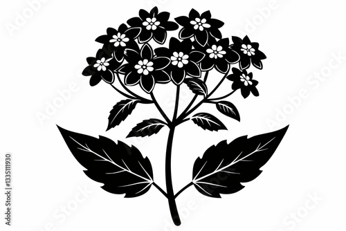 verbena flower line art silhouette vector illustration