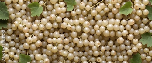 Fresh white currant on wooden table background. Top view