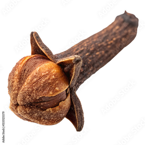 A Single Clove Bud with Textured Surface