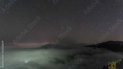 northern lights in the fog