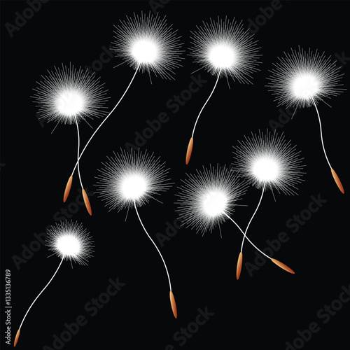 This elegant digital illustration captures the delicate beauty of dandelion seeds floating gracefully through the air against a deep black background. 