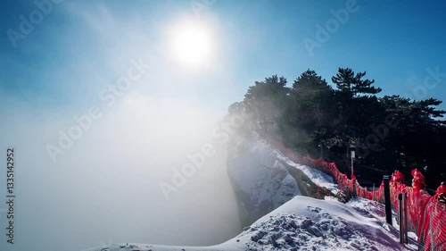 winter landscape with snow and trees