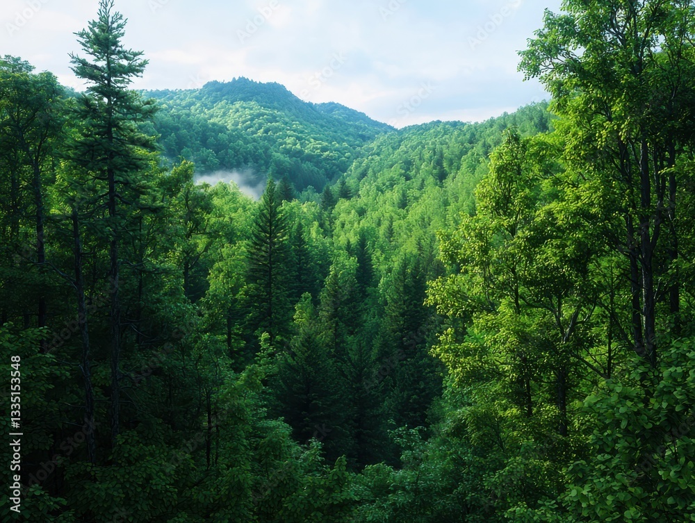Tranquil forest scene with soft green foliage panoramic view nature photography diffused morning light Tranquil forest scene with soft green foliage panoramic view nature photography diffused morning light