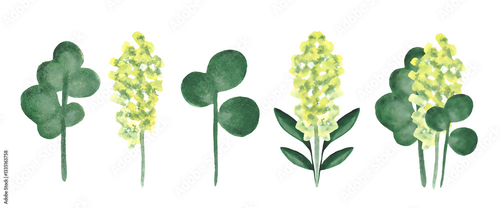 Watercolor green plants isolated on white background