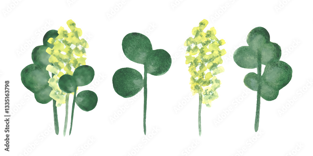 Watercolor green plants isolated on white background