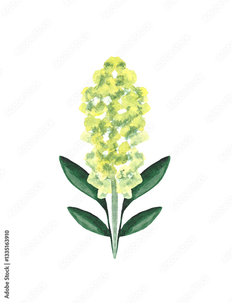 Watercolor green plants isolated on white background