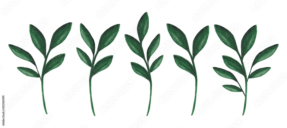 Watercolor green plants isolated on white background