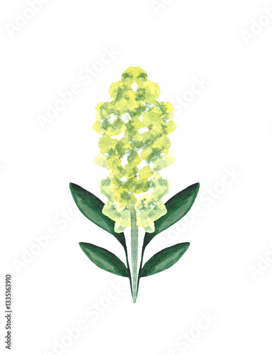 Watercolor green plants isolated on white background