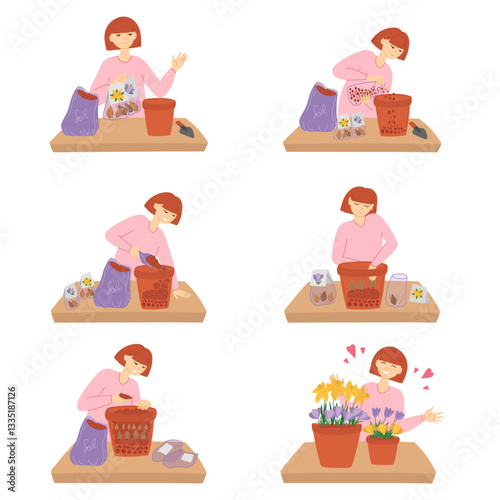 Woman planting flower bulbs in pot set of stage process in flat cartoon design. Gardener putting clay pebbles drainage, soil layer, planting narcissus and crocus, enjoying blooms. Vector illustration