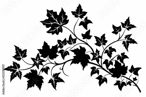 ivy clean line art silhouette vector illustration