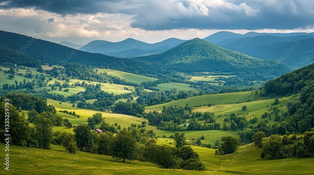 Fototapeta premium panoramic view of the nature, green nature scenery, fresh nature