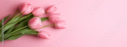 Elegant pink tulips arranged on a soft pink background with space for text or design elements.