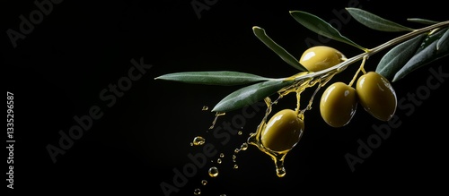 Olive branch dripping fresh olive oil on black background