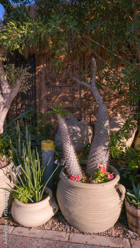 Obraz na płótnie Clay jars with flowers on the streets in Egypt. Alpine slides. A relaxing atmosphere for a tropical getaway. w salonie