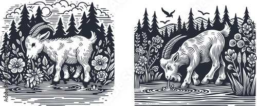 Engraved Linocut of a Little Goat Eating Water by a Floral Pond in the Forest - Beautiful Nature Artwork