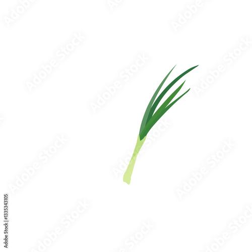 Green onion illustration