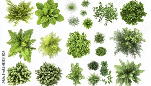 Fototapeta Naklejka Na Ścianę i Meble -  Top-down view of diverse plants, various types, lush greenery, botanical illustration,  plant collection,  garden design