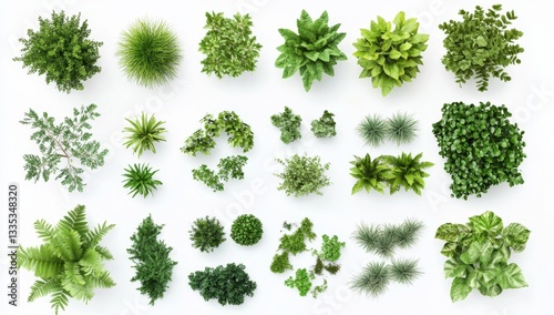 Variety of lush greenery top views