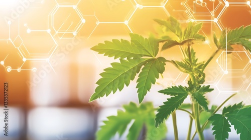 Hemp plant growing with molecule background concept