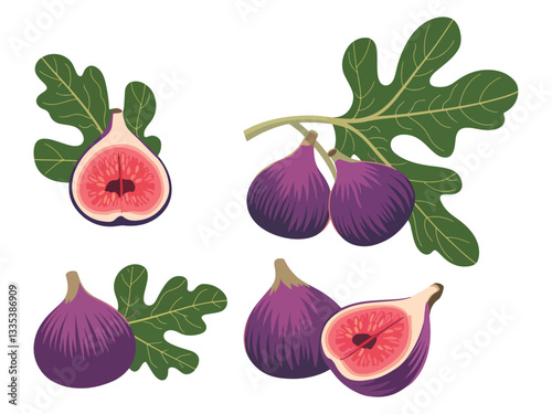 Whole and Sliced Fig Fruit with Thin Skin and Tiny Seeds