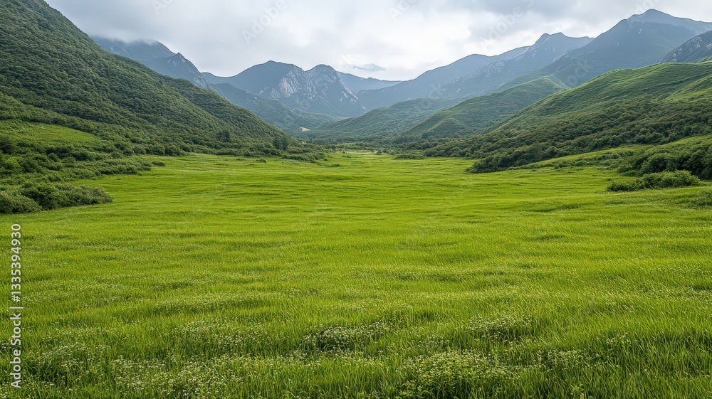 Fototapeta premium Lush Green Meadow Landscape with Mountain Range Under Cloudy Sky
