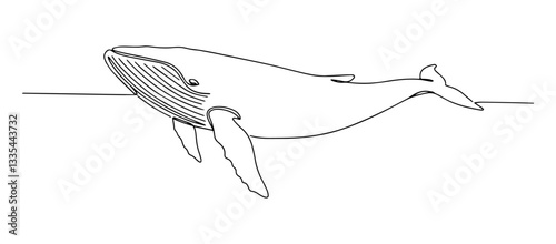 whale vector monoline one line line art ocean animal