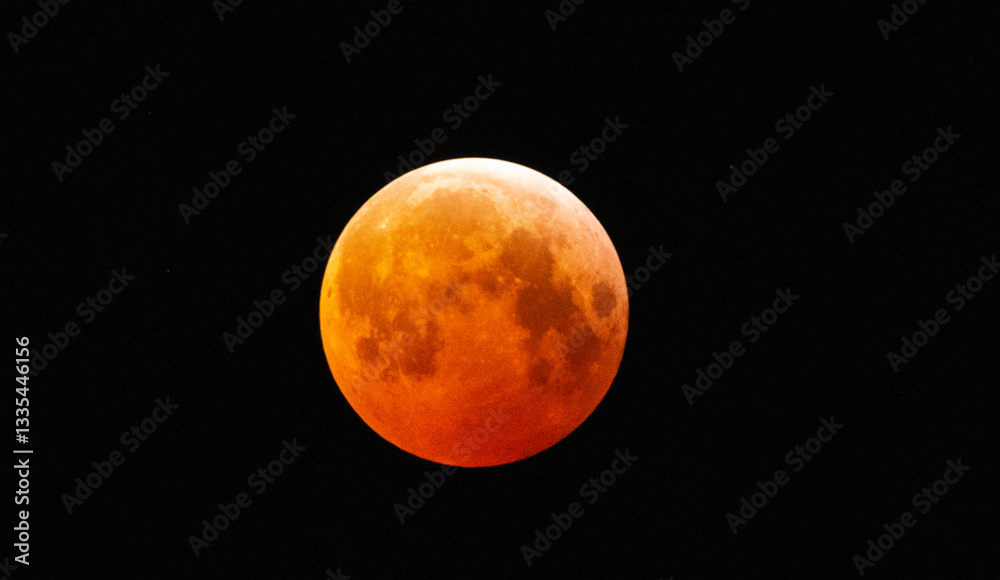 Fototapeta premium The Blood Moon appears during totality in the lunar eclipse of March 14, 2025.