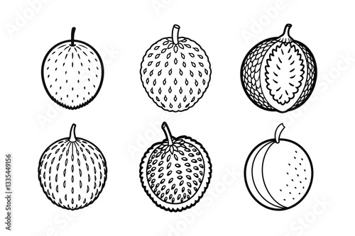 Gac Fruit – Momordica cochinchinensis line art vector illustration