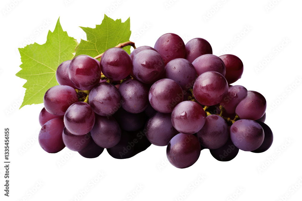 Bunch of Grapes in a Branch on transparent background Bunch of Grapes in a Branch on transparent background