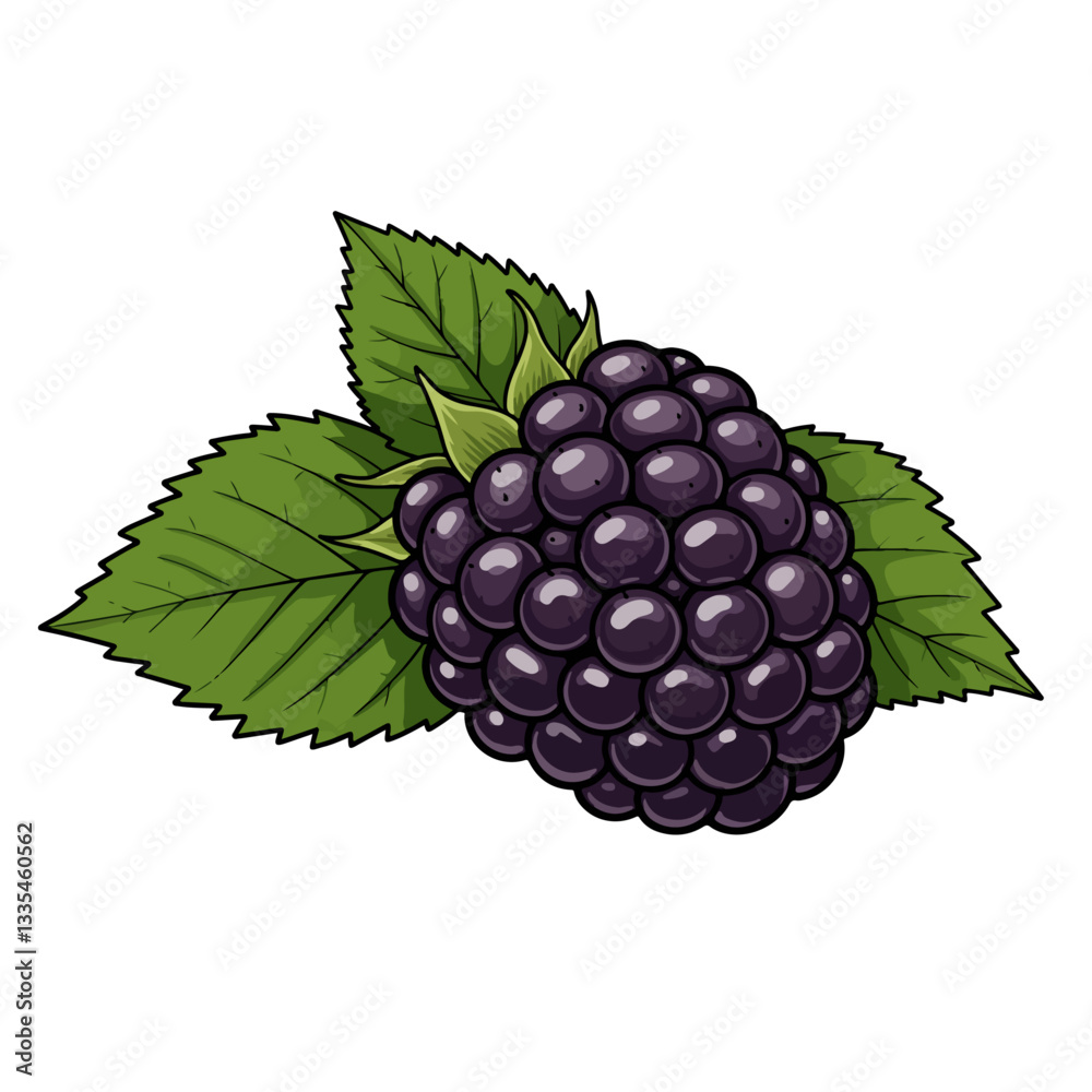 Obraz premium blackberry with leaves