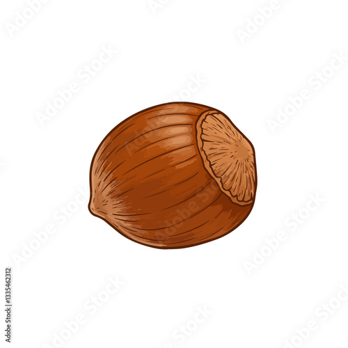 hazelnut