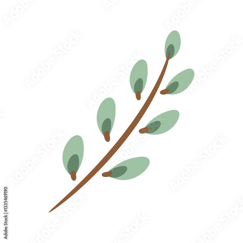 Willow burgeon isolated on white background. Minimalist vector icon of a pussy willow branch with cute buds. Willow tree sprig in simple flat style